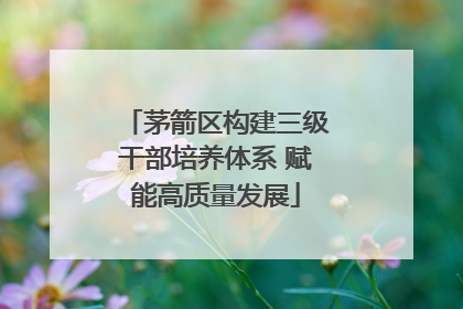 茅箭区构建三级干部培养体系 赋能高质量发展