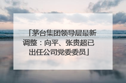 茅台集团领导层最新调整：向平、张贵超已出任公司党委委员