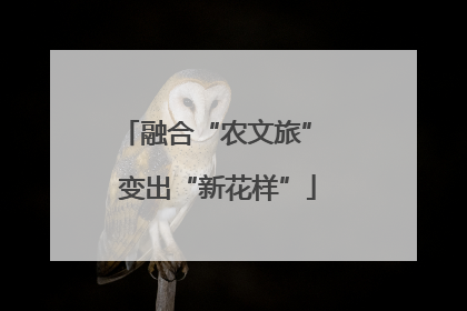 融合“农文旅” 变出“新花样”