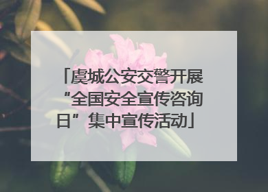 虞城公安交警开展“全国安全宣传咨询日”集中宣传活动