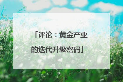 评论：黄金产业的迭代升级密码
