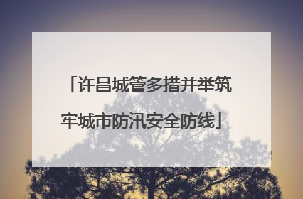 许昌城管多措并举筑牢城市防汛安全防线
