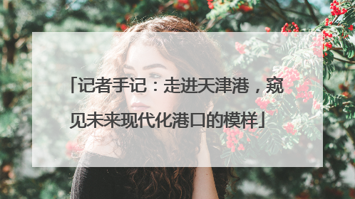 记者手记：走进天津港，窥见未来现代化港口的模样