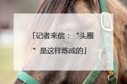 记者来信：“头雁”是这样炼成的