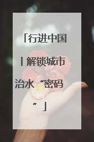 行进中国丨解锁城市治水“密码”