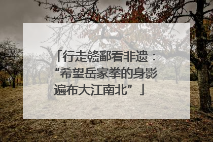行走赣鄱看非遗：“希望岳家拳的身影遍布大江南北”