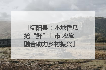 衡阳县：本地香瓜抢“鲜”上市 农旅融合助力乡村振兴