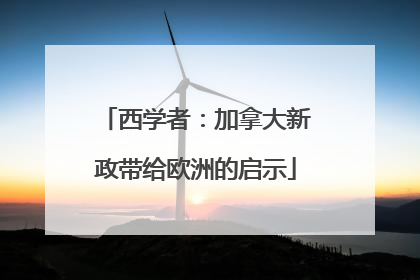 西学者：加拿大新政带给欧洲的启示