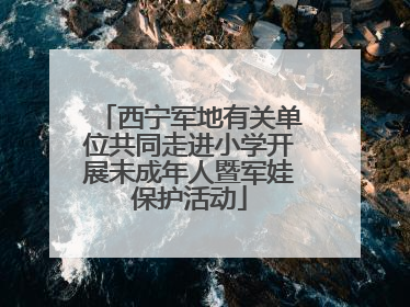 西宁军地有关单位共同走进小学开展未成年人暨军娃保护活动