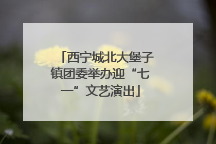 西宁城北大堡子镇团委举办迎“七一”文艺演出
