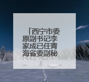 西宁市委原副书记李家成已任青海省委副秘书长、办公厅主任