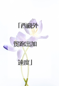 西藏外贸跑出加速度