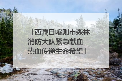 西藏日喀则市森林消防大队紧急献血 热血传递生命希望