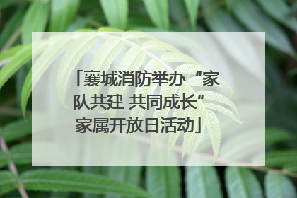 襄城消防举办“家队共建 共同成长”家属开放日活动