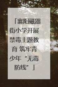 襄阳磁器街小学开展禁毒主题教育 筑牢青少年“无毒防线”