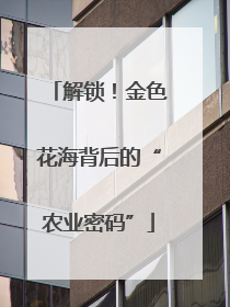解锁！金色花海背后的“农业密码”