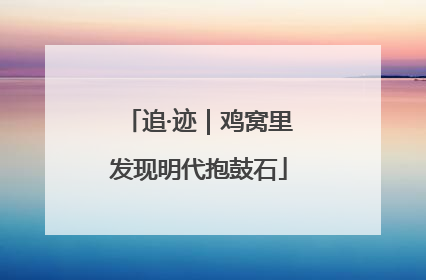 追·迹｜鸡窝里发现明代抱鼓石
