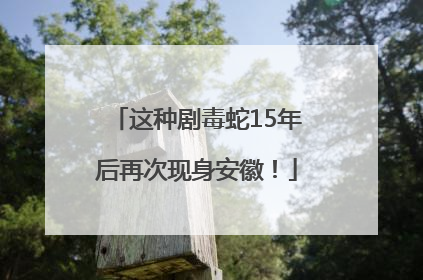 这种剧毒蛇15年后再次现身安徽！