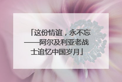 这份情谊，永不忘——阿尔及利亚老战士追忆中国岁月