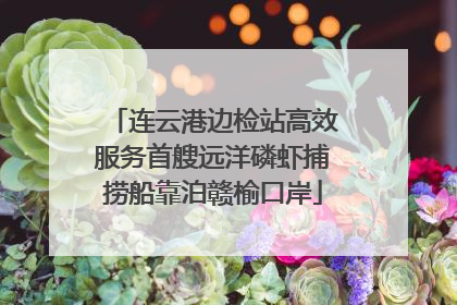 连云港边检站高效服务首艘远洋磷虾捕捞船靠泊赣榆口岸
