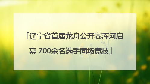 辽宁省首届龙舟公开赛浑河启幕 700余名选手同场竞技