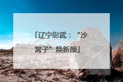 辽宁彰武：“沙窝子”焕新颜