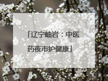 辽宁岫岩：中医药夜市护健康
