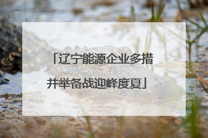 辽宁能源企业多措并举备战迎峰度夏