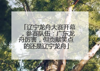 辽宁龙舟大赛开幕，参赛队伍：广东龙舟厉害，但贡献笑点的还是辽宁龙舟