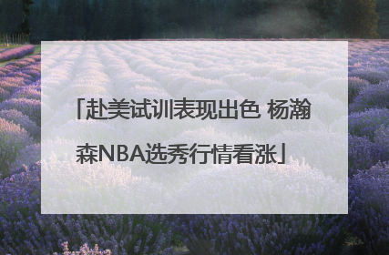 赴美试训表现出色 杨瀚森NBA选秀行情看涨