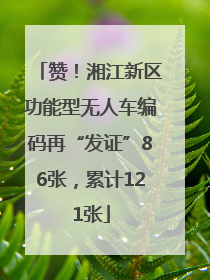 赞！湘江新区功能型无人车编码再“发证”86张，累计121张