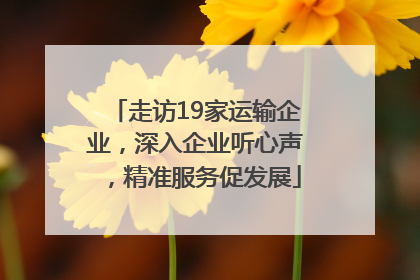 走访19家运输企业，深入企业听心声，精准服务促发展