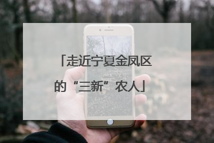 走近宁夏金凤区的“三新”农人