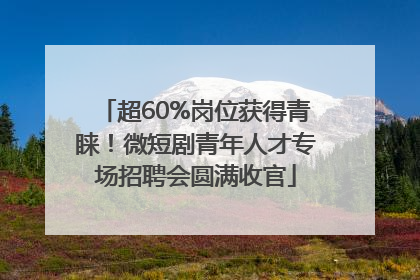 超60%岗位获得青睐！微短剧青年人才专场招聘会圆满收官
