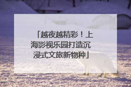 越夜越精彩！上海影视乐园打造沉浸式文旅新物种