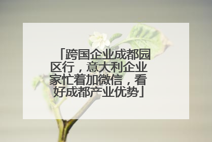 跨国企业成都园区行，意大利企业家忙着加微信，看好成都产业优势