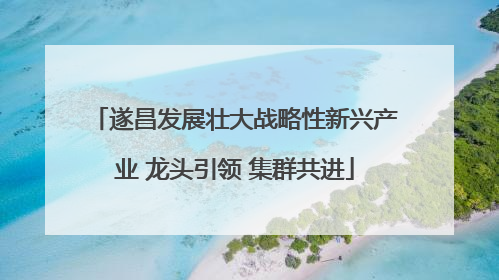 遂昌发展壮大战略性新兴产业 龙头引领 集群共进