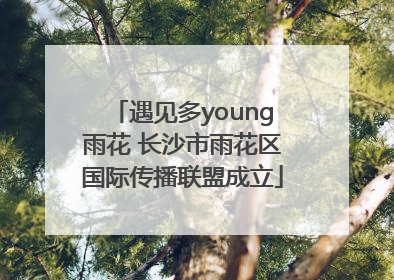 遇见多young雨花 长沙市雨花区国际传播联盟成立