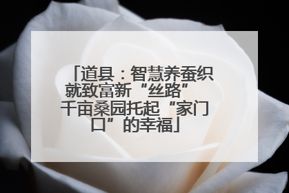 道县：智慧养蚕织就致富新“丝路” 千亩桑园托起“家门口”的幸福
