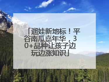遛娃新地标！平谷南瓜嘉年华，30+品种让孩子边玩边涨知识