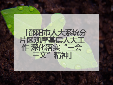邵阳市人大系统分片区观摩基层人大工作 深化落实“三会三文”精神