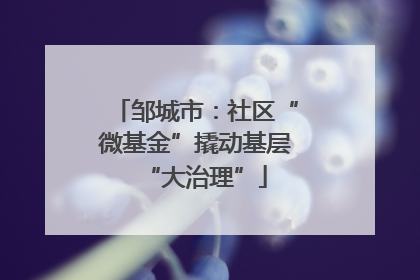 邹城市：社区“微基金”撬动基层“大治理”
