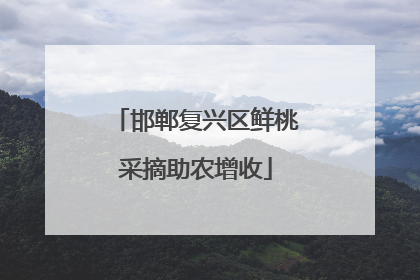 邯郸复兴区鲜桃采摘助农增收