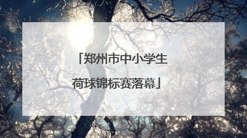 郑州市中小学生荷球锦标赛落幕