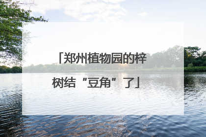郑州植物园的梓树结“豆角”了