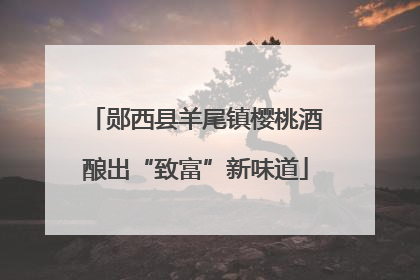 郧西县羊尾镇樱桃酒酿出“致富”新味道