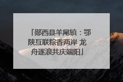 郧西县羊尾镇：鄂陕互联粽香两岸 龙舟逐浪共庆端阳