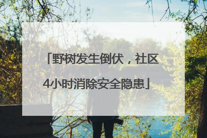 野树发生倒伏，社区4小时消除安全隐患