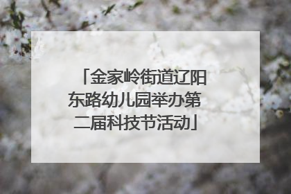 金家岭街道辽阳东路幼儿园举办第二届科技节活动