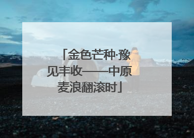 金色芒种·豫见丰收——中原麦浪翻滚时